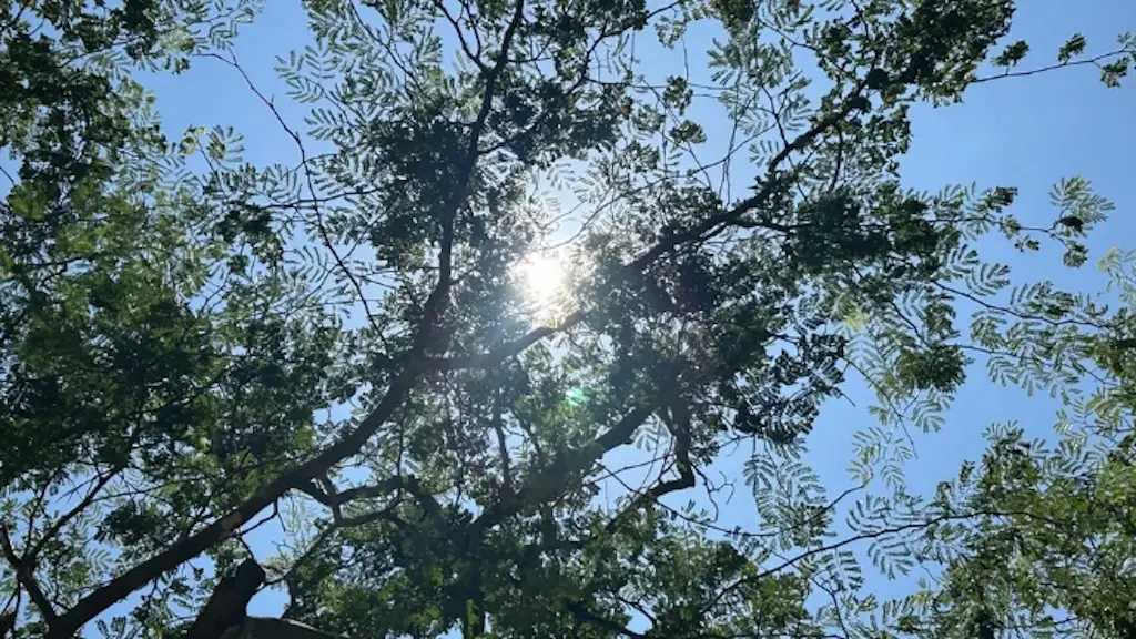 Temperaturas sobem, chegando a 35 graus em Cuiabá, MT, após a frente fria passar. Esse retorno do calor exige atenção c…