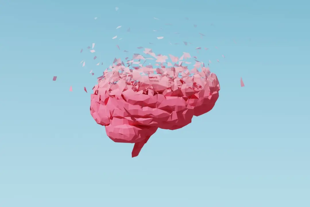 Contrastes agudos entre as mudanças cerebrais na menopausa e durante a gravidez e a puberdade foram observados em um es…