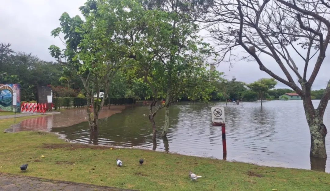 Parque Centenário em Mogi das Cruzes foi interditado por causa do Rio Tietê transbordar. A medida visa segurança, mas m…