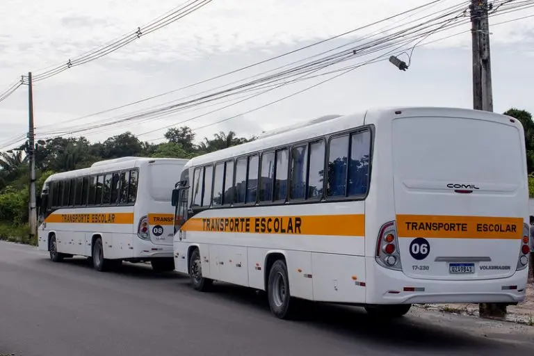 Projeto prevê vistoria anual para veículos de transporte escolar aprovados sem restrições. A alteração, que pode reduzi…