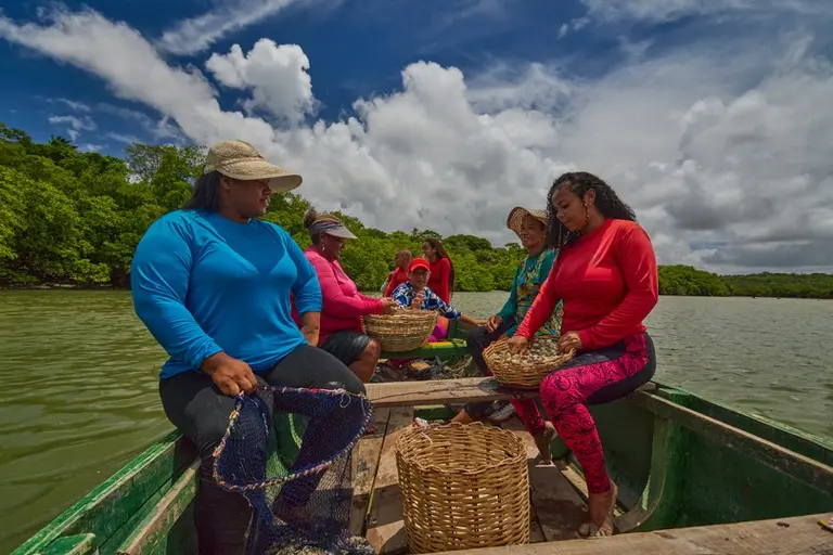 Santarém, PA, tem 2804 mulheres pescadoras, quase um terço do total, num cenário onde 97,8% da população se identifica …