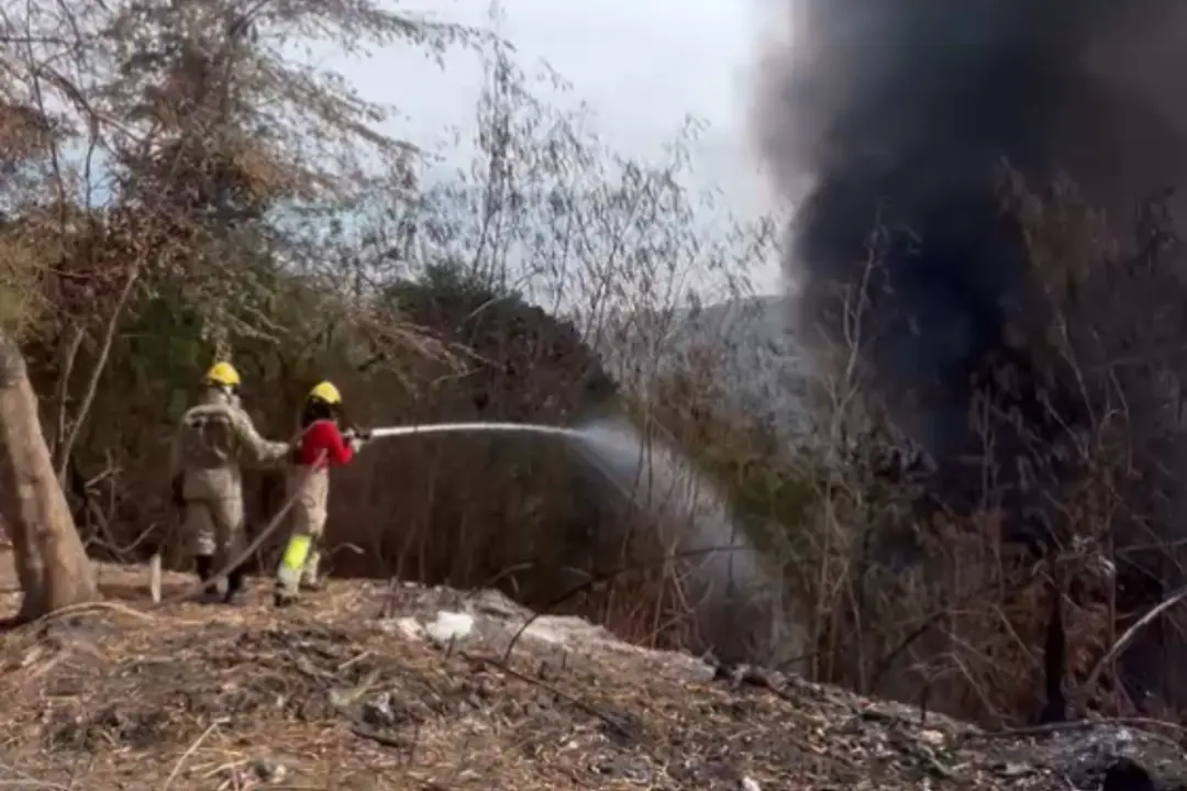 99 incêndios em 24 horas no Amazonas, com 77 deles em vegetação. Isso mostra um descontrole sério com o uso do fogo, qu…