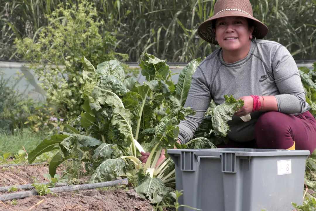 Força das mulheres rurais sustentou a agricultura e a soberania alimentar com saberes ancestrais. A contribuição delas …
