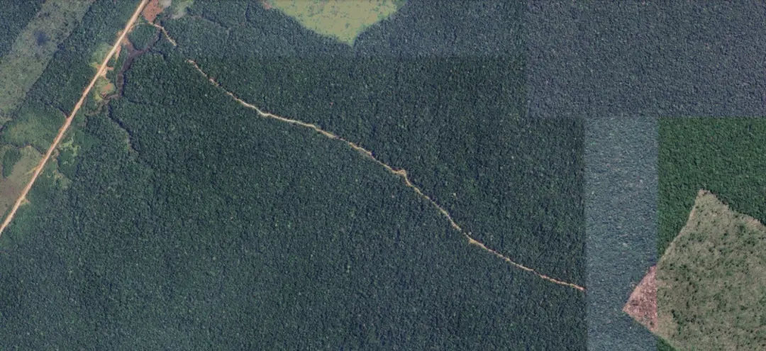 A BR-319, ligação entre Manaus e Porto Velho, impulsionou o avanço agropecuário na Amazônia, com estradas clandestinas …