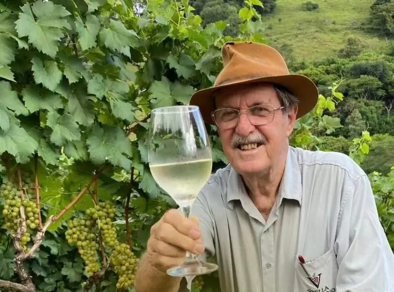 Dois agricultores em Minas Gerais testam uvas piwis, que resistem a doenças sem precisar de muita aplicação de fungicid…
