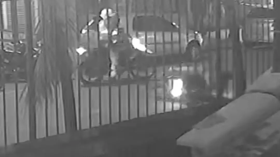 Danilo, pizzaiolo de 26 anos, foi baleado na cabeça em Icaraí, Niterói, durante uma abordagem com policiais. O uso do s…