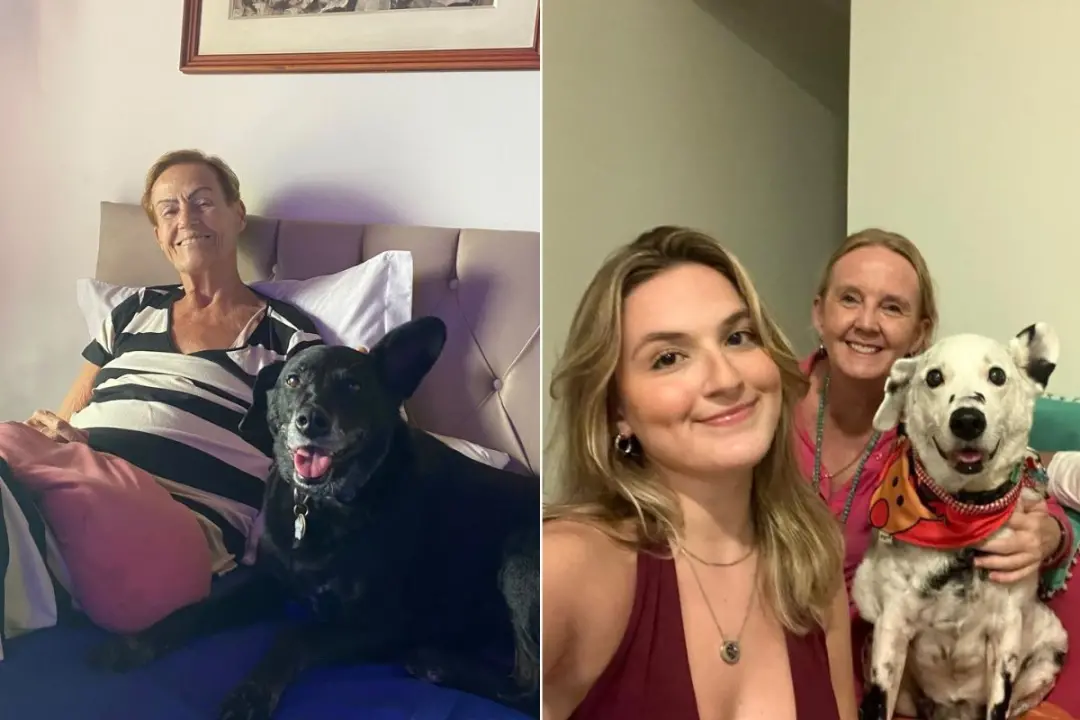 Buddy, cachorro de Santos, viralizou com seu vitiligo, somando mais de 2,2 milhões de visualizações no TikTok. É bonito…