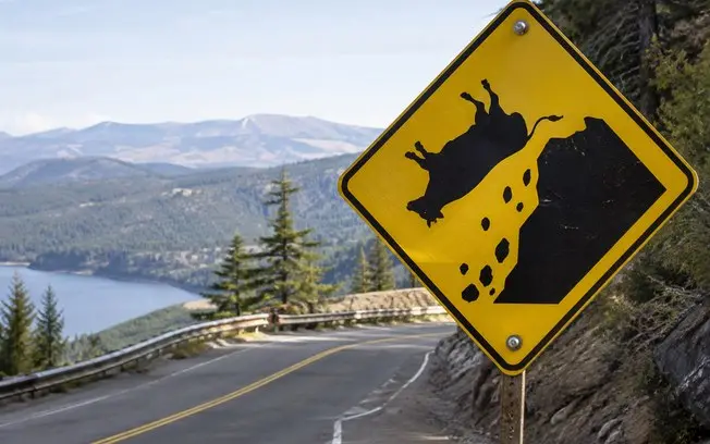 Placas de trânsito com avisos de alces no Canadá ou de migrantes cruzando na Califórnia. Cada sinal tem um contexto esp…