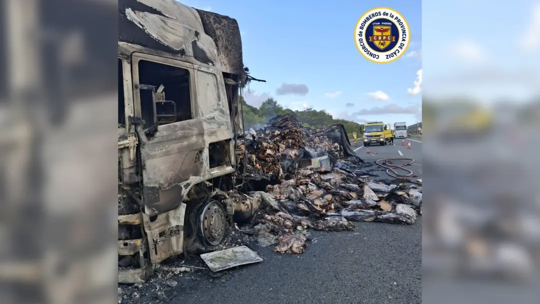 Pulpos putrefactos, centenas deles, ficaram 26 dias parados em um acostamento na rodovia Jerez Los Barrios. O cheiro se…