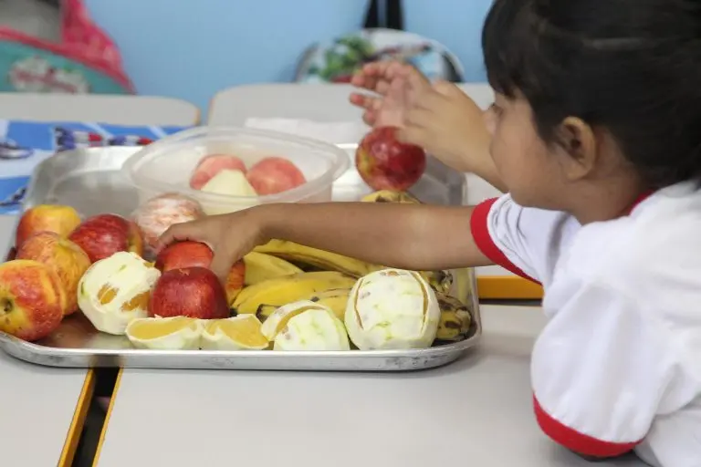 Projeto de Lei 2339/26 torna obrigatória aula semanal de Educação Alimentar em todas as escolas básicas. Isso é importa…