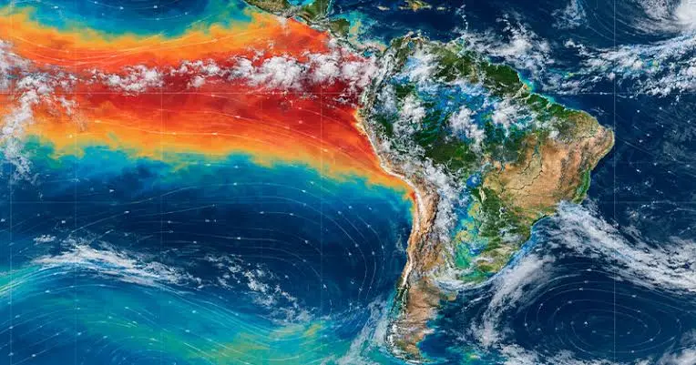 El Niño tem mais de 90% de chance de ser muito forte, com aquecimento de até 3,7°C na costa do Sul do continente. Essa …