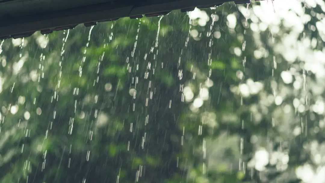 33 cidades de MG têm alerta de tempestade, com previsão de chuva de até 30 mm por hora e ventos fortes. A gente precisa…