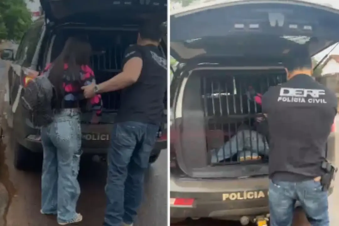 Dourados, MS, teve uma mulher presa por participar do golpe do falso cafetão faccionado. Golpistas usavam anúncios e ci…
