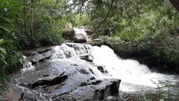 Rio Saia Velha em Valparaíso atingiu máximo histórico no monitoramento do Cimehgo. Isso mostra que a água tá bem alta n…