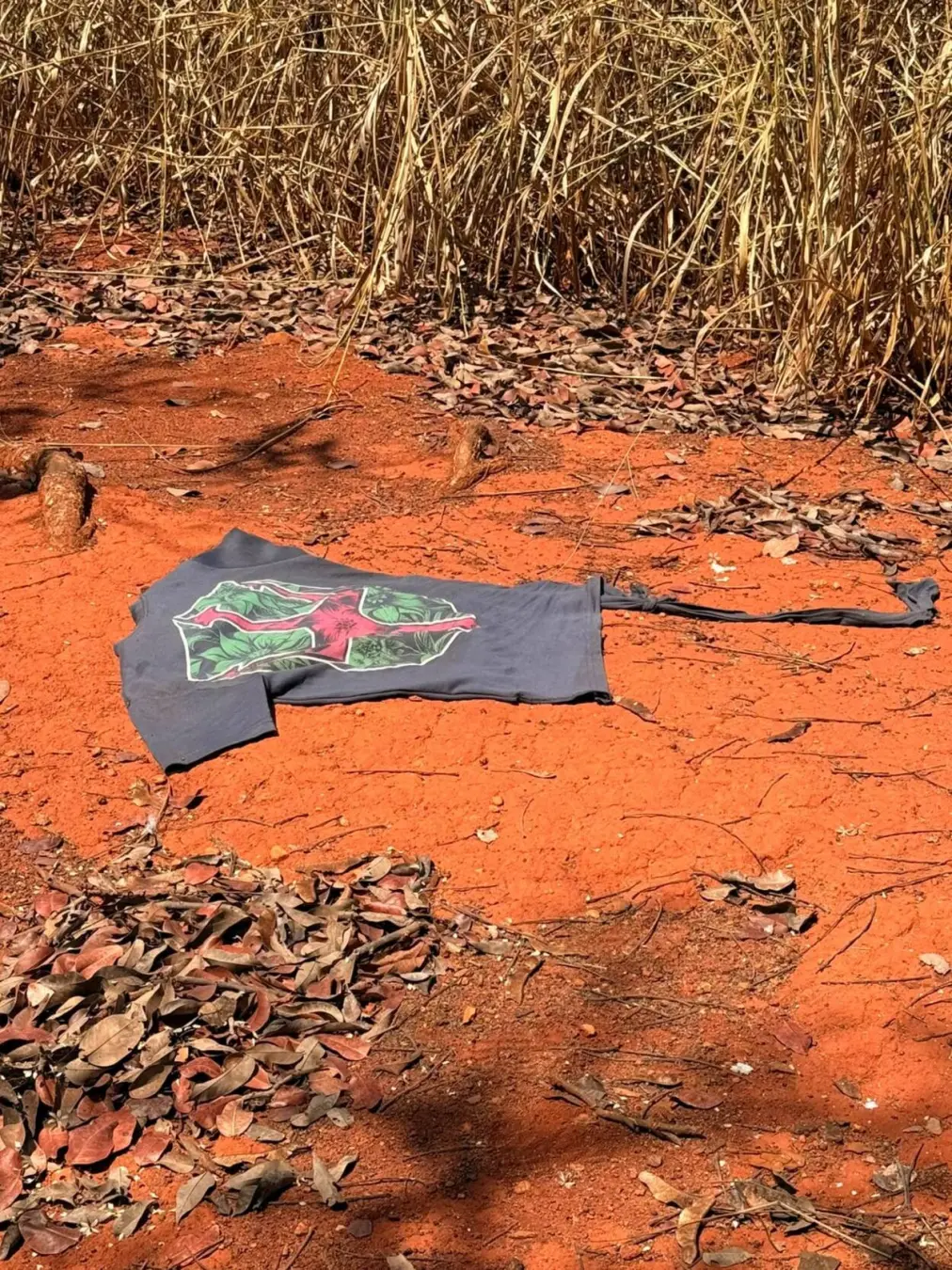 Carlos Antônio de Oliveira, de 32 anos, foi encontrado morto na mata às margens da BR-251, em Unaí. É chocante como um …