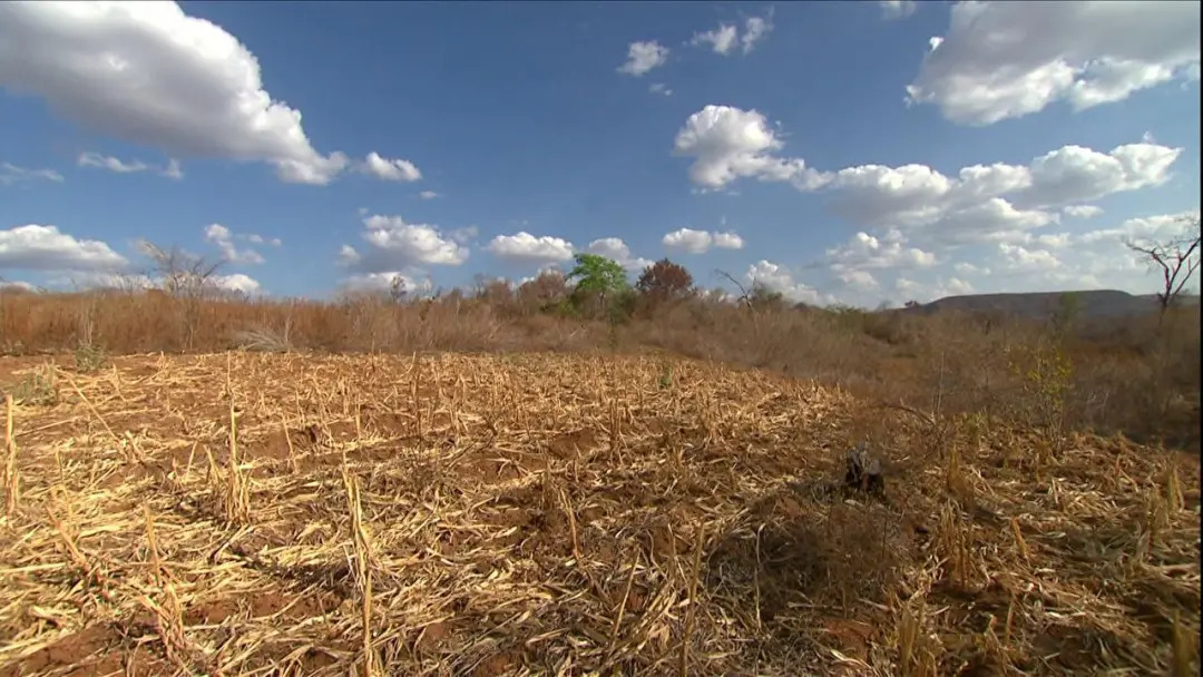 Cinco cidades do Piauí entraram em emergência por causa da seca, e agora podem pedir ajuda federal. É um problema sério…