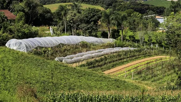 Plano Safra de 610,3 bilhões anunciado, mas advogado aponta que o crédito oficial não chega ao produtor. O problema é o…