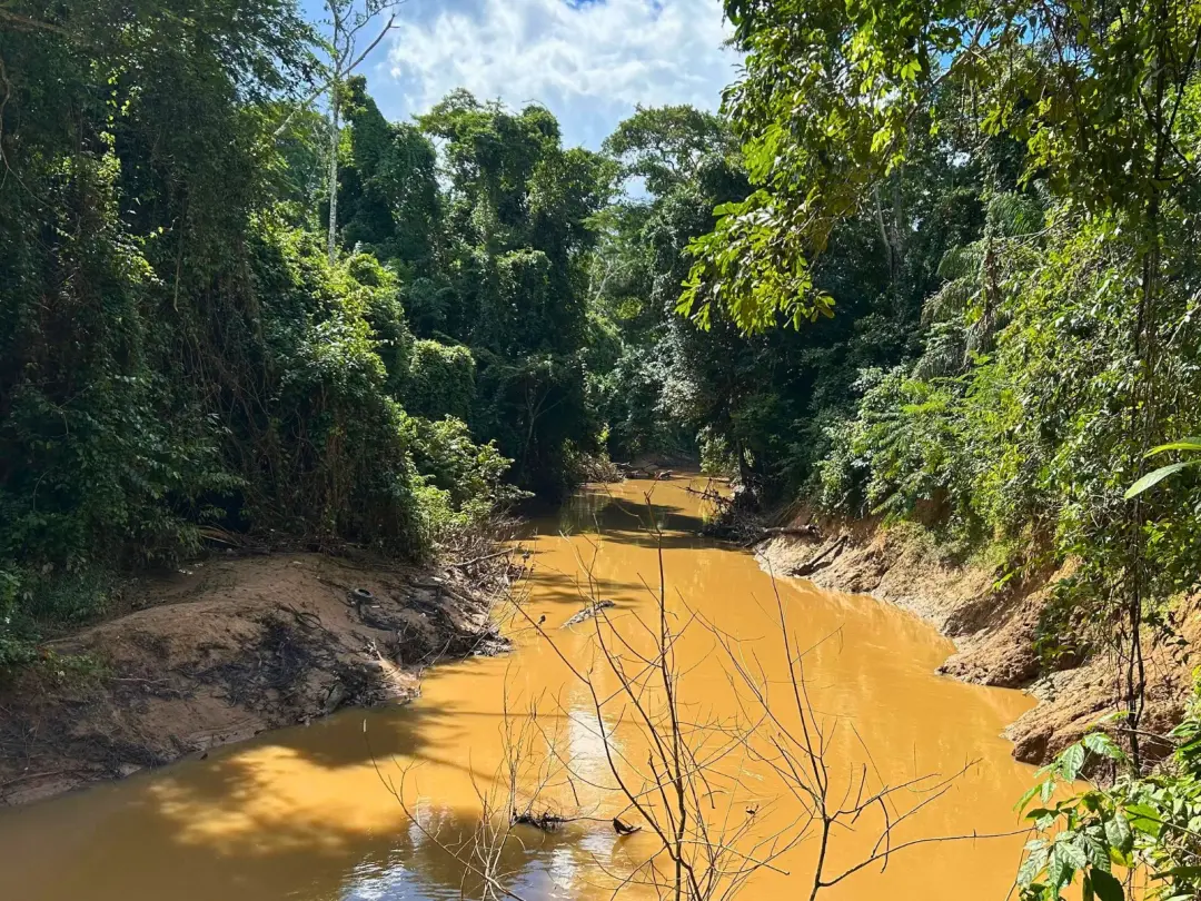 30 toneladas de lixo por dia sairão dos igarapés em Rio Branco, como parte de operação de limpeza no Igarapé Batista. E…