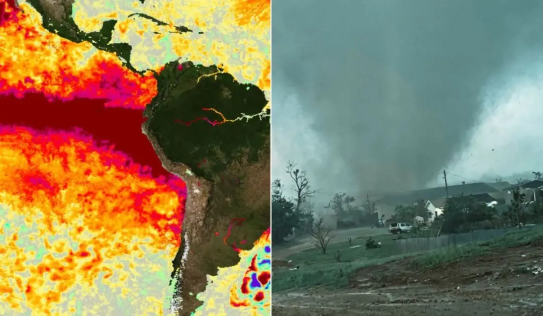 Super El Niño pode chegar a 100% no Brasil, com mais de 90% de probabilidade de ser muito forte em 2026-2027. Se confir…