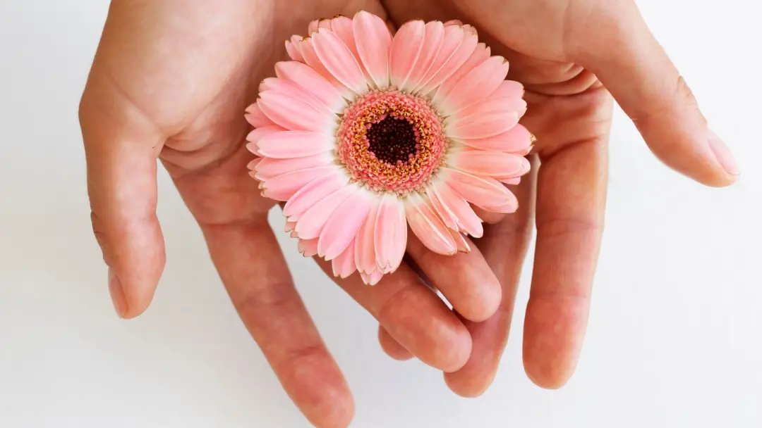 Práticas como detox vaginal e duchas com limão bombam no TikTok, prometendo cuidar da saúde íntima. Essa cobrança estét…
