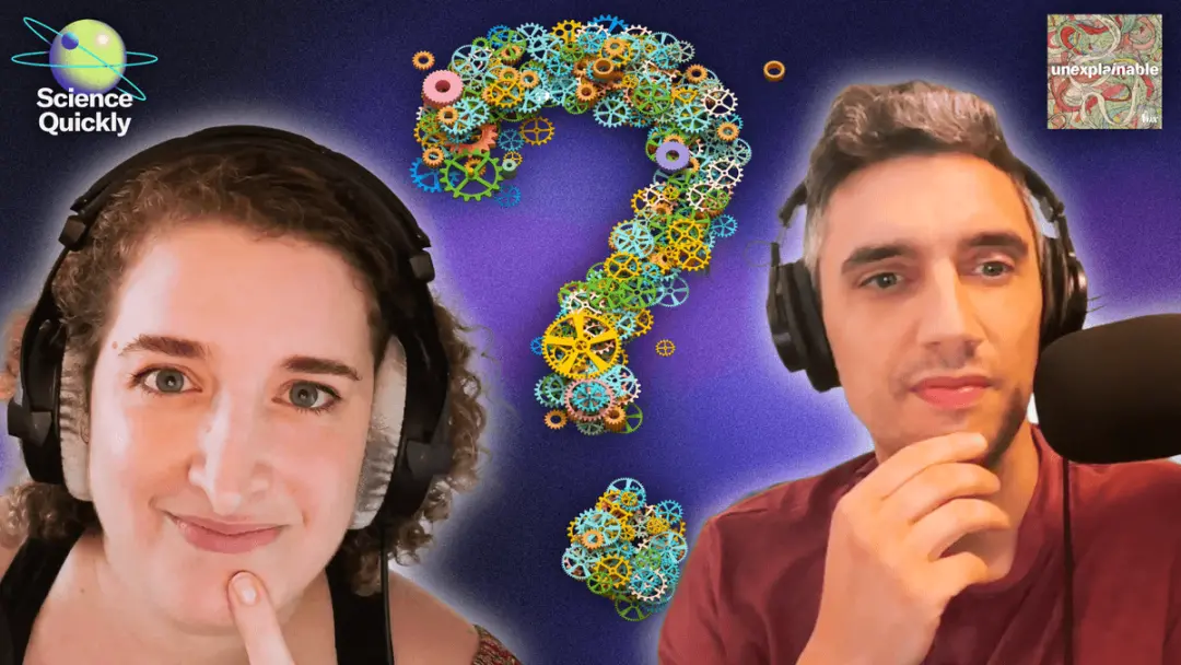 Rachel Feltman participa do programa Unexplainable da Vox para debater mistérios científicos sem solução. Concordo que …