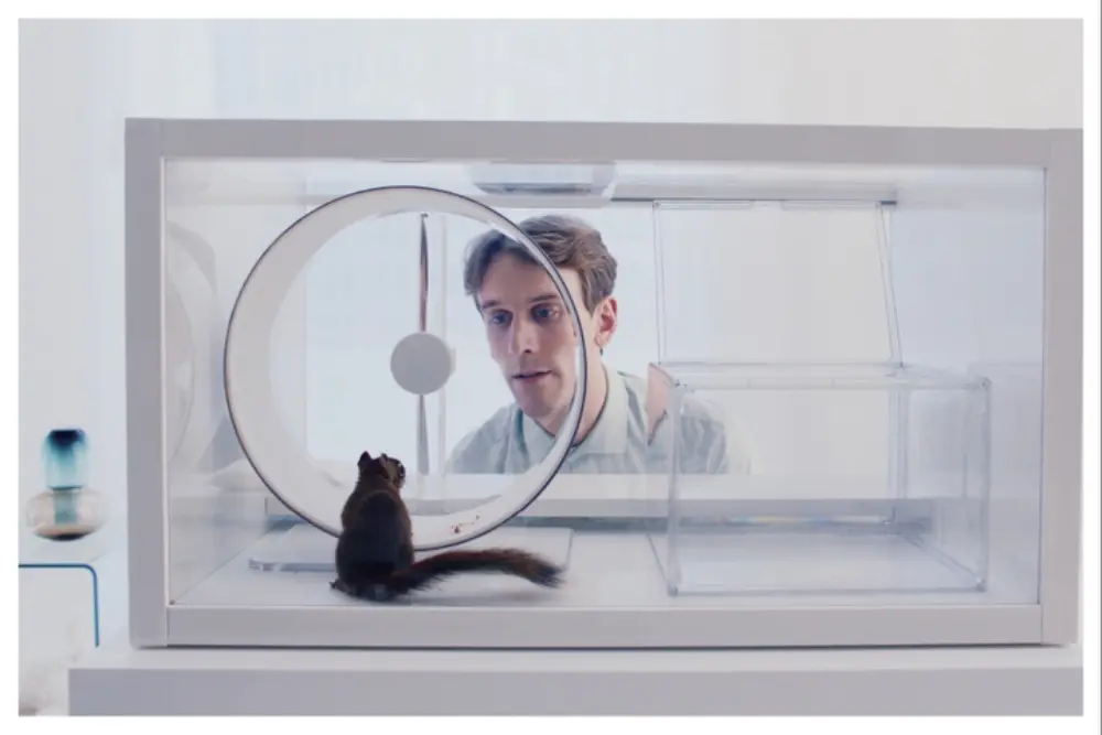The Squirrel, drama finlandês de Markus Lehmusruusu, foi selecionado para a indicação ao Oscar da Finlândia. O cineasta…