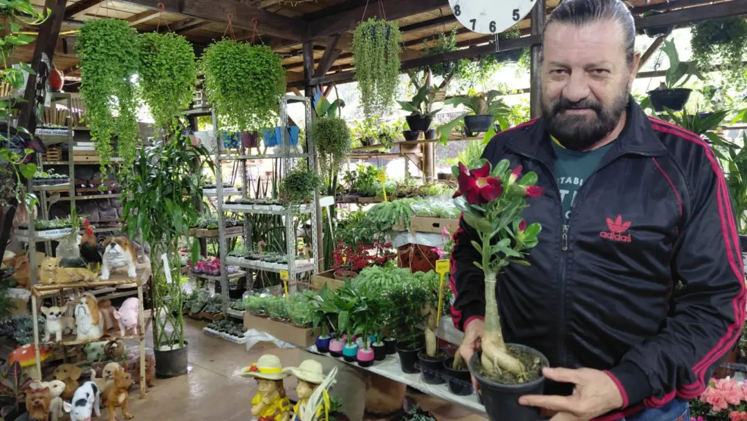 João Valtier Motti, florista mais antigo do Ceagesp de Bauru, celebra 27 anos de mercado. É bom ver a resistência desse…