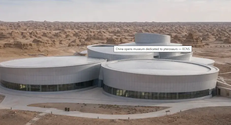 Xinjiang, China inaugurou museu com 4,6 mil metros quadrados para pterossauros, exibindo ovos e embriões fossilizados o…