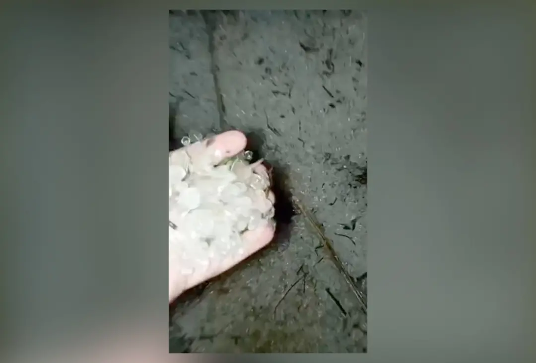 Granizo cobriu bairros de Petrópolis com gelo, causando alagamentos e derrubando árvores e postes em Nogueira e Itaipav…