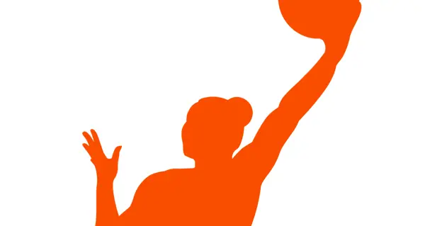 Vagas de comissário da WNBA atraem interesse grande desde a aposentadoria de Cathy Engelbert. O mercado mostra que o ca…