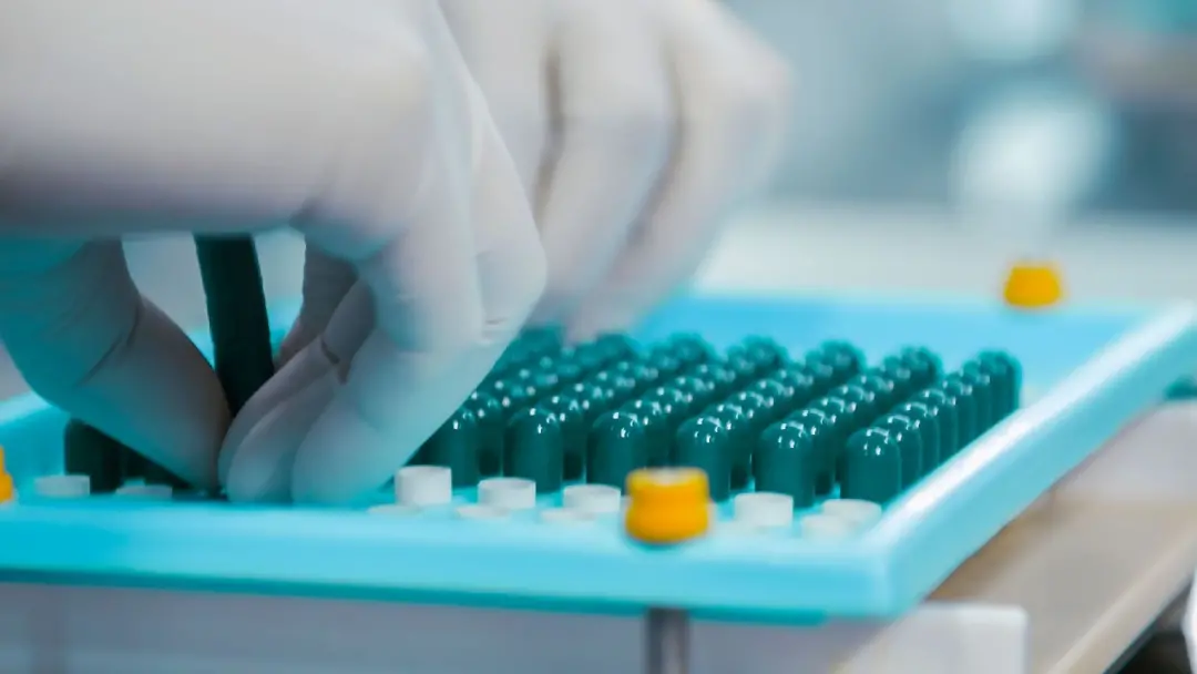 Quase 81% dos farmacêuticos recém-formados conseguem inserção rápida no mercado de trabalho no Brasil. Essa versatilida…