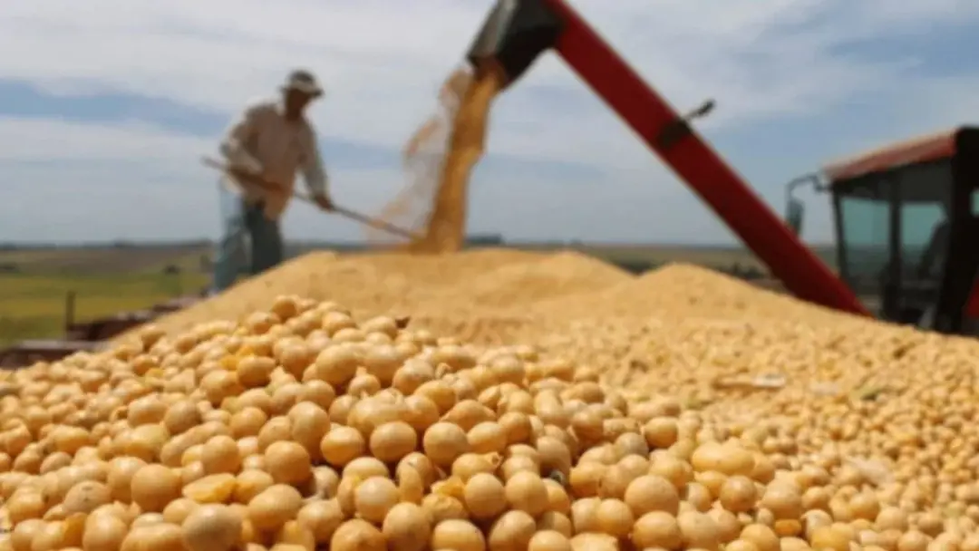 Safra de grãos pode bater recorde em 2026/27, chegando a 366,6 milhões de toneladas, um aumento de 1,4%. O avanço vem m…