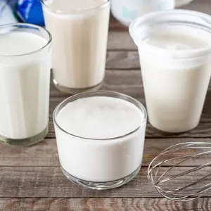 Seis alimentos fermentados podem ajudar a microbiota intestinal. Essas fontes de probióticos mostram um caminho pra saú…