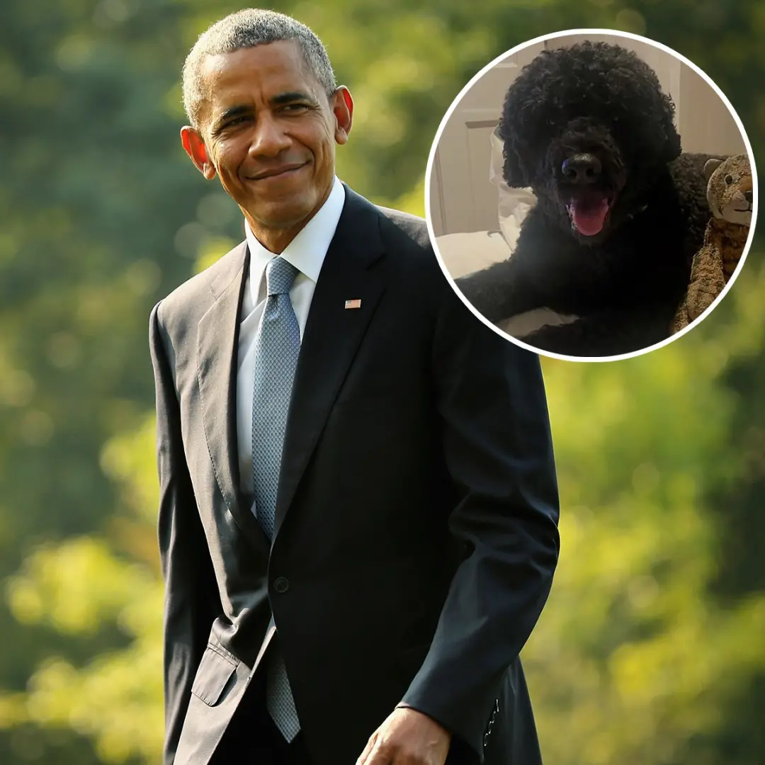 Barack Obama e família lamentam a perda do cachorro Sunny, que faleceu aos 13 anos. É sempre um momento de pesar quando…