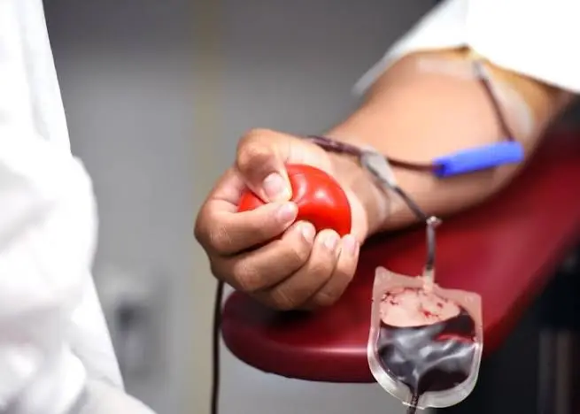 Hospital Pedro II em Santa Cruz realiza doação de sangue nesta quinta, de 10h a 15h, ajudando bancos que abastecem mais…