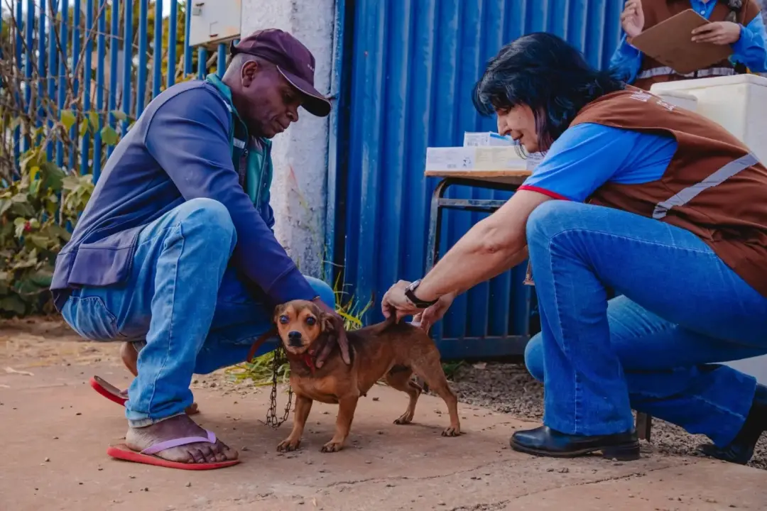 78 pontos de vacinação antirrábica vão acontecer em Anápolis neste sábado para cães e gatos. Essa medida é importante p…