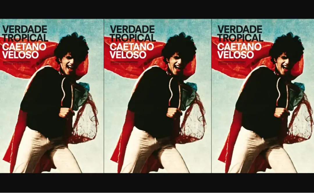 Caetano Veloso rebate ideias de Roberto Schwarz no livro Verdade Tropical. Eu vejo que a gente precisa pesar os argumen…