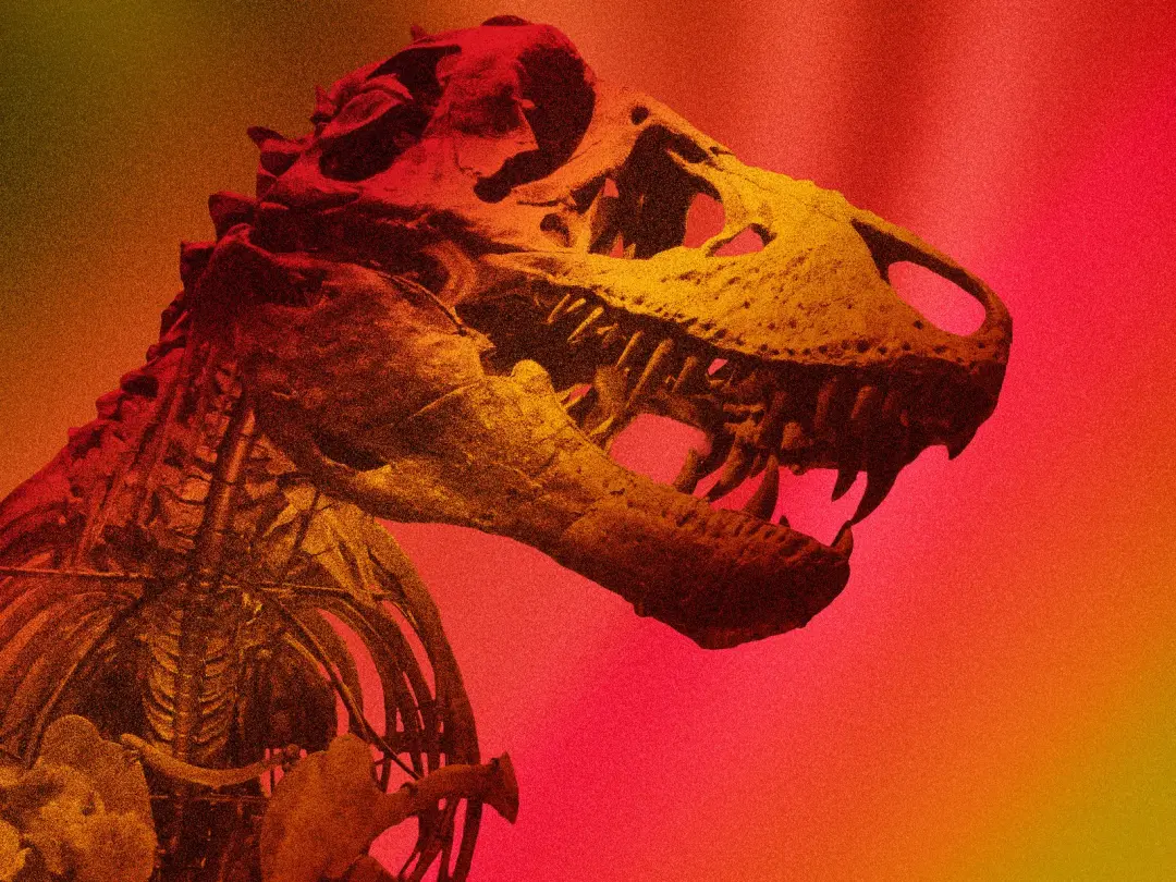 Dinossauros eram tão de sangue quente quanto humanos, estudo novo mostra. A ideia de que eles eram répteis muda com ess…