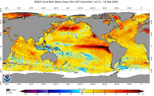 Probabilidade de El Niño recorde, com projeções indicando evento histórico e excepcional no Pacífico Equatorial. Esse c…