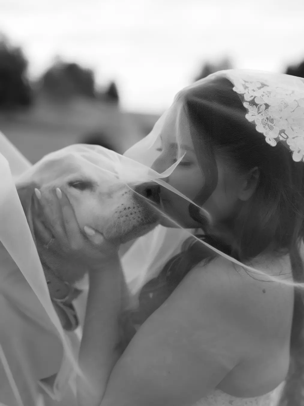 Billy, o cachorro de 16 anos, caminhou ao lado de Amie no altar do casamento. É tocante ver a lealdade desses laços, me…