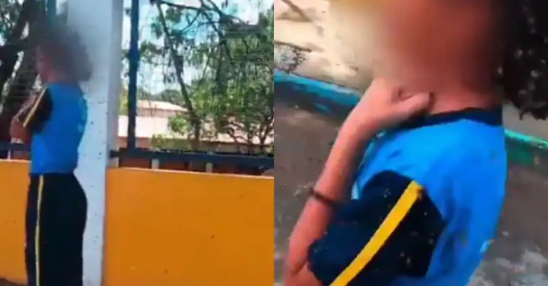 Motoboy levou 40 picadas de abelha ao tentar resgatar uma estudante de um enxame que caiu perto de uma escola em Ibirit…