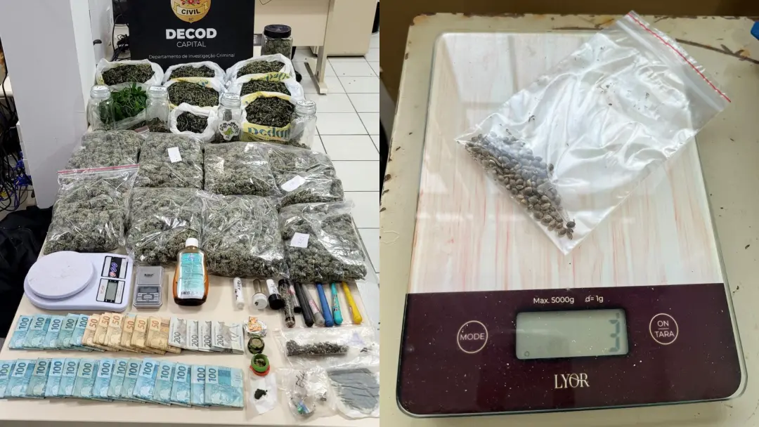 Florianópolis, SC. Homem com autorização para cultivo medicinal foi preso com cerca de 3 quilos de skunk e outras droga…