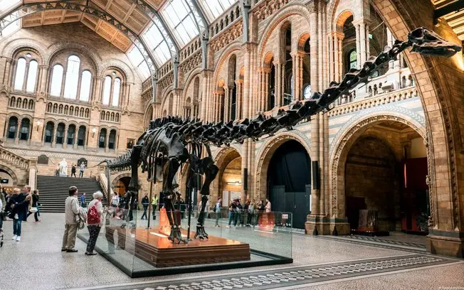 Espanha, um dinossauro gigante Diplodocus com vértebras de 150 milhões de anos foi achado lá. Isso prova que esses saur…