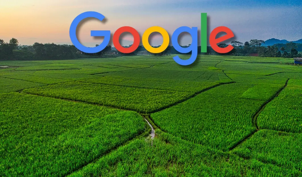 Google compra 2 milhões de toneladas de remoção de carbono no Brasil. A estratégia usa técnica de irrigação e rochas vu…