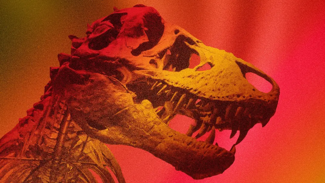 Tiranossauro rex tinha temperatura interna perto de 97 graus Fahrenheit. Isso mostra que os dinossauros eram mais ativo…