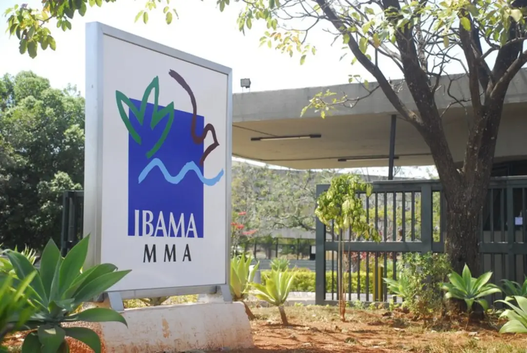 TCU manteve que recursos de acordos ambientais devem passar pelo orçamento da União. A decisão obriga o Ibama a seguir …