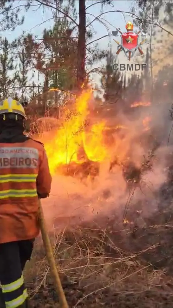 Park Way, Setor de Mansões, teve condenação mantida por incêndio em área de vegetação. O réu levou três anos de reclusã…