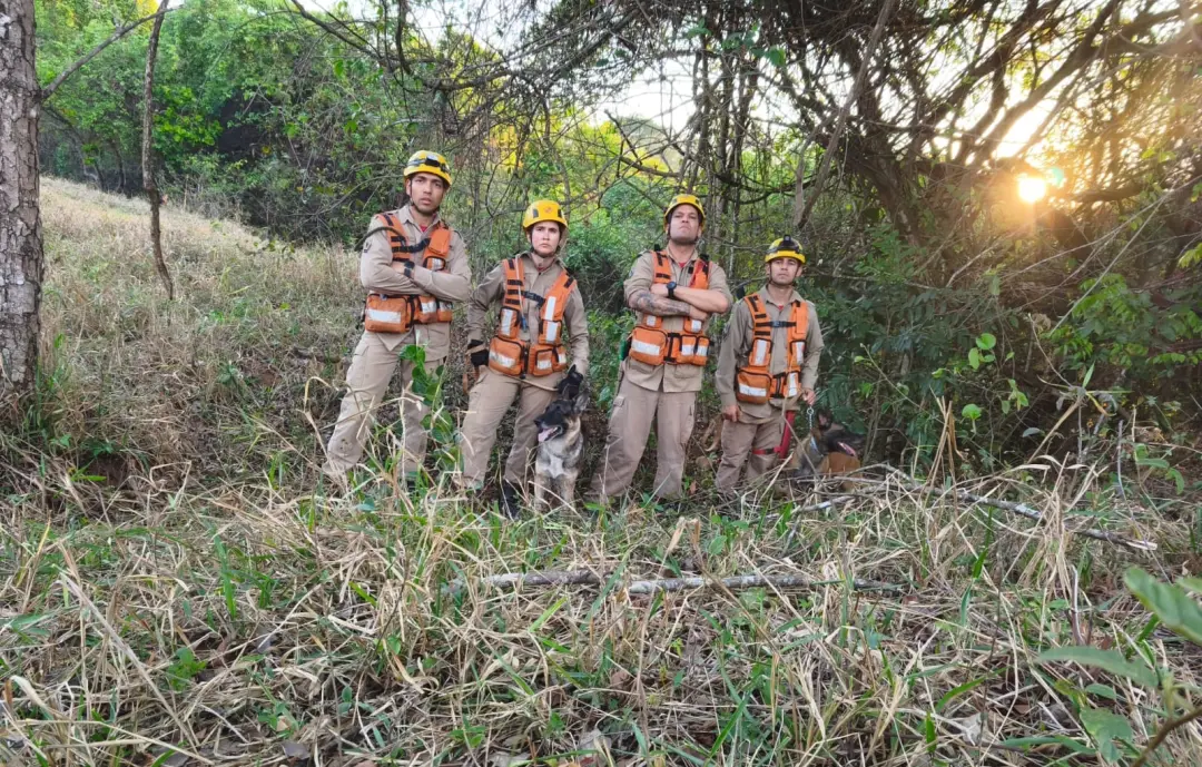 Ossada humana foi encontrada em Aparecida de Goiânia em uma ação de busca e salvamento. É importante que os procediment…