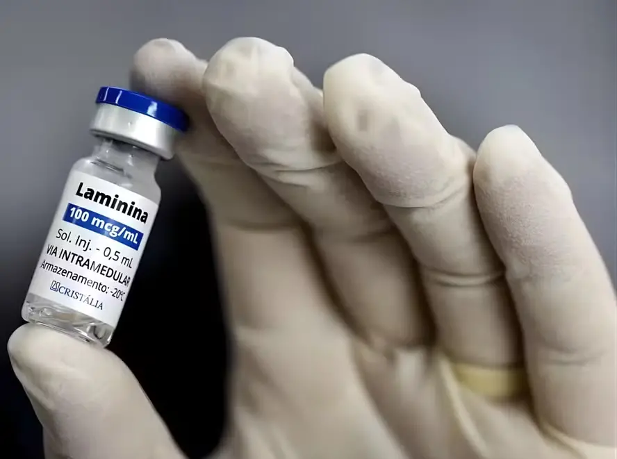 Laboratório Cristália e UFRJ começaram estudo clínico de fase 1 da polilaminina para trauma raquimedular agudo. A segur…
