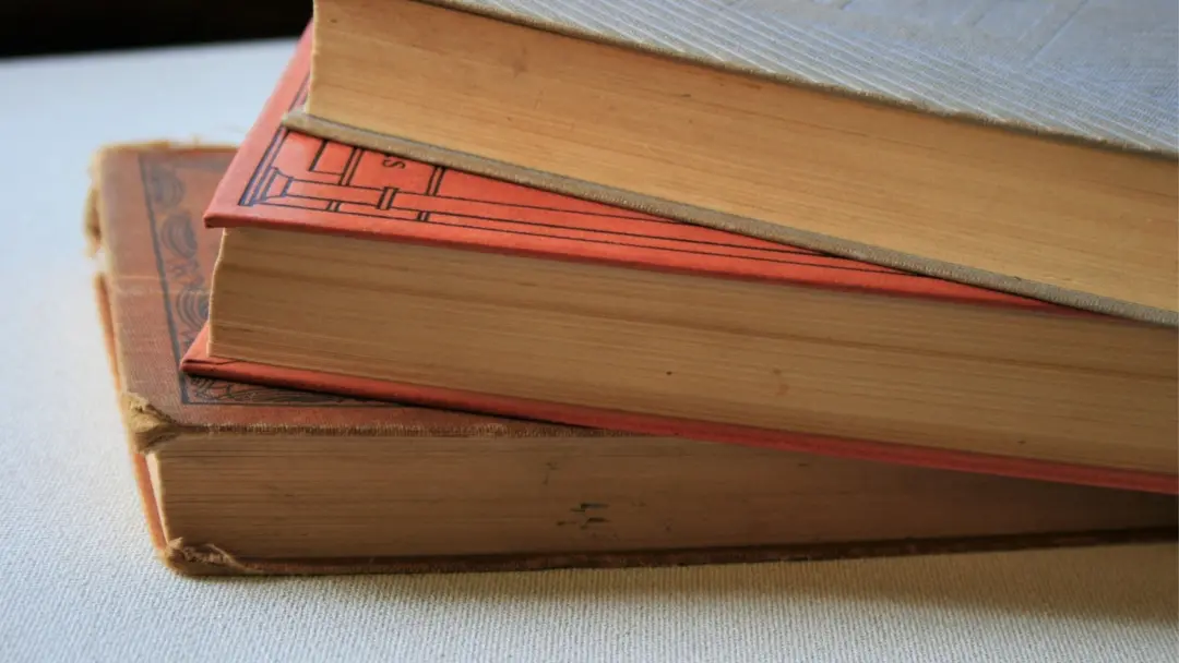 Dez romances de ficção histórica foram selecionados por serem uma forma incrível de aprender sobre o mundo. Essas histó…